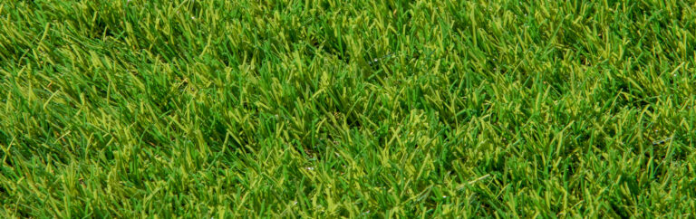 greenr artificial grass